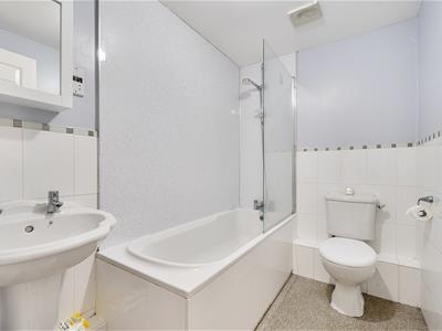 Picture 15